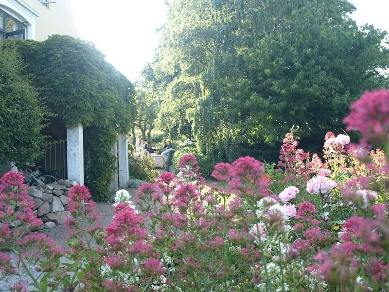 Danchelshus Bed & Breakfast Allinge-Sandvig Exterior foto